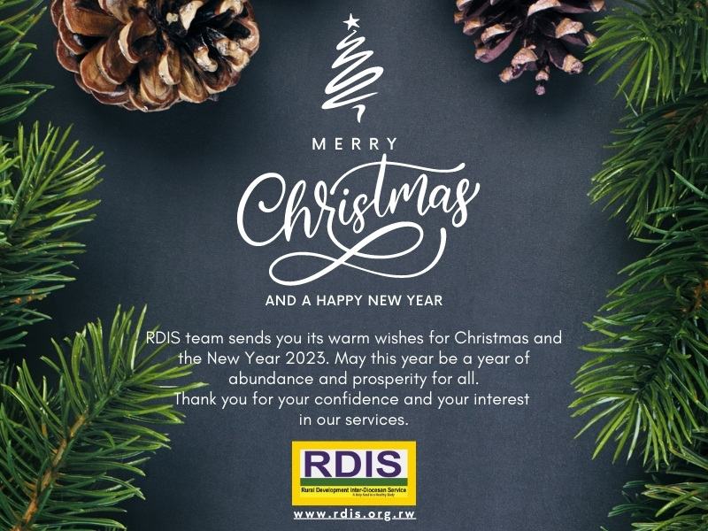 RDIS Merry Christmas And Happy New Year 2023 800x600px for website)