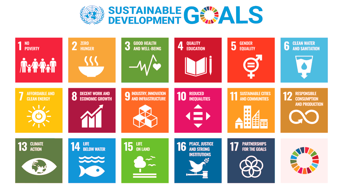 sdgs new