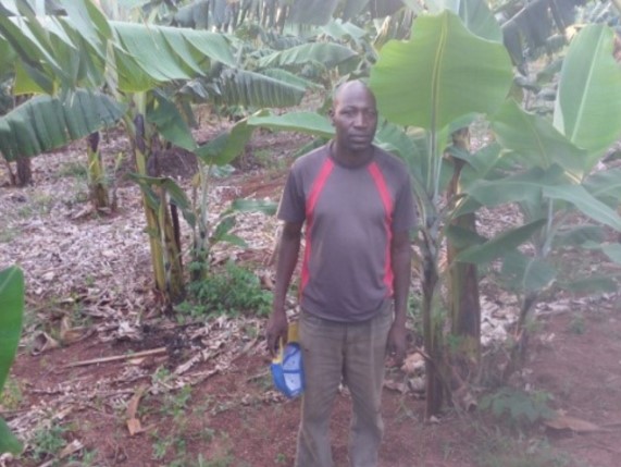 Transf group in Gahabwa learning banana farming using modern farming techniques