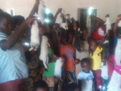 small case study1 sunday school children given rabbits