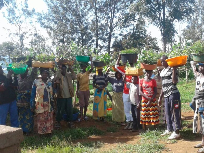 RDIS tree nurseries project pics from archives 4